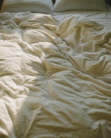 Recent photograph by Alena Leskova, 14
