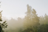 Recent photograph by Alena Leskova, 1