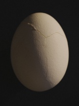 22/11, image 3