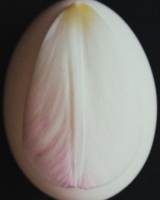 Still Life, image 18