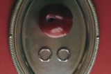 Still Life, image 12