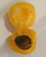 Still Life, image 13
