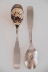 Still Life, image 15